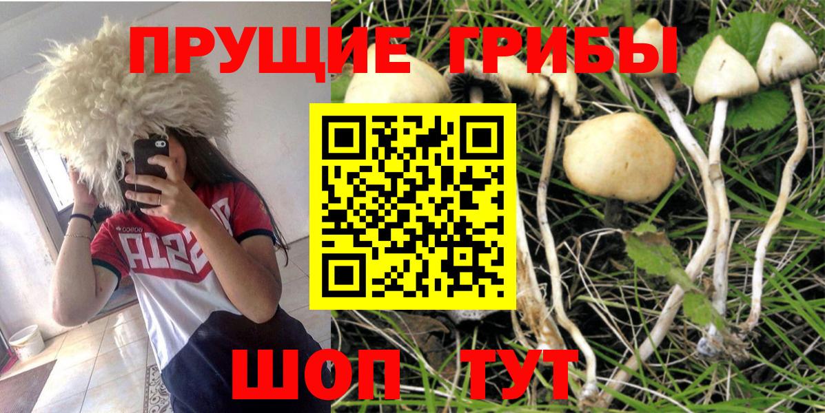 Псилоцибиновые грибы Magic Shrooms Нальчик
